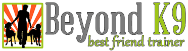 Beyond K9